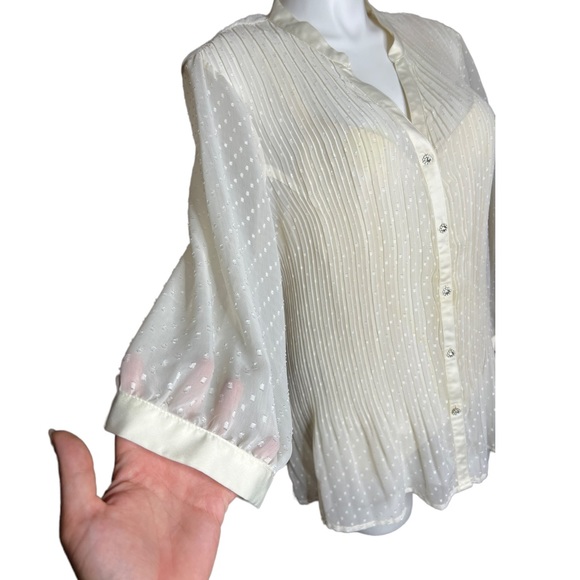 Lane Bryant Sheer Cream Pleated Blouse size 22/24 - Picture 8 of 16